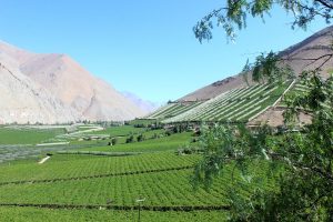 travel in chile elqui valley