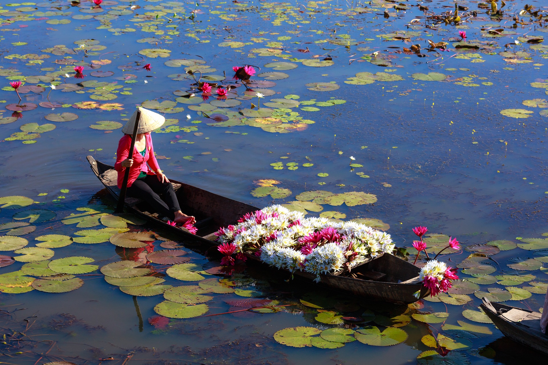 L'amour autour du monde,
l'amour au vietnam