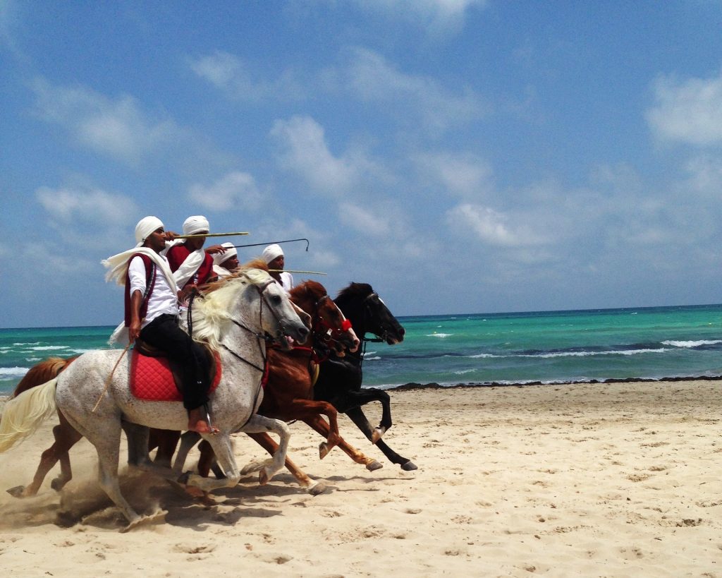 Cavaliers sur l'île de Djerba en Tunisie