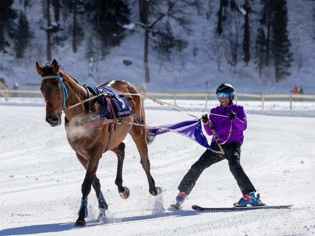 Pratique du ski-joëring 