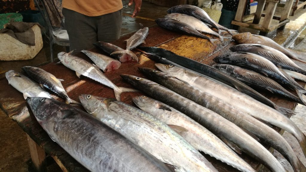 Étals de poissons à Negombo