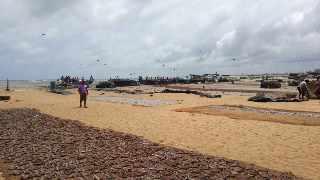 Le village de pécheurs de Negombo