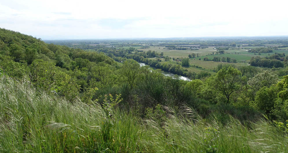 Vue des coteaux de Muret sur la Via Garona