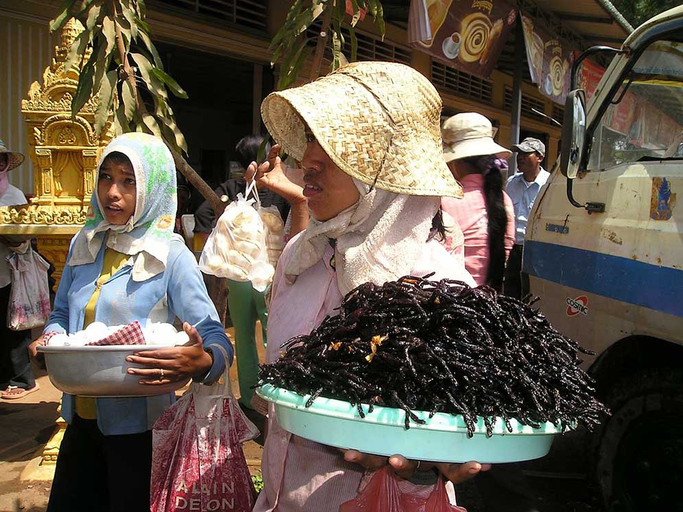 Tarentules frites au Cambodge