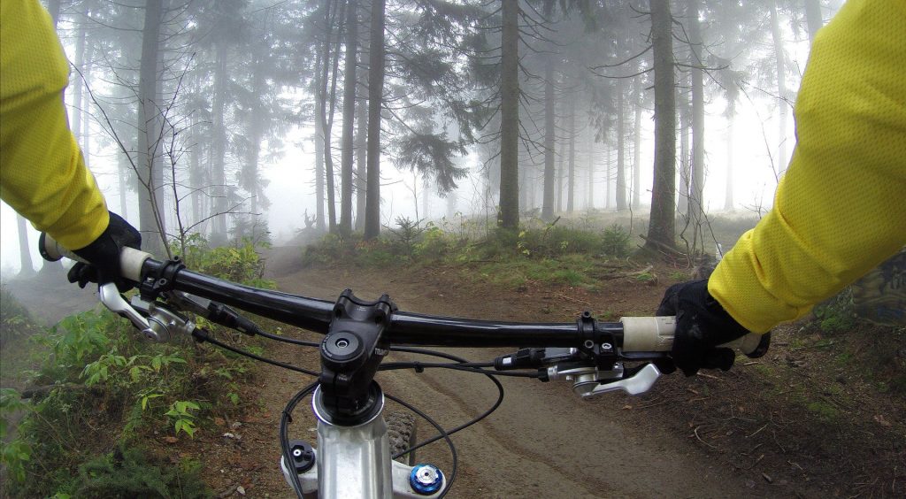 Personne en veste jaune faisant du vélo dans une forêt