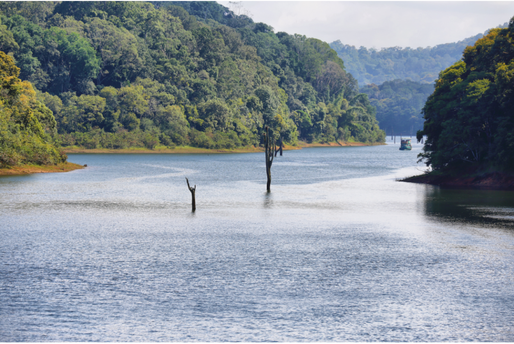 Periyar River, Kerala, India, ©canva