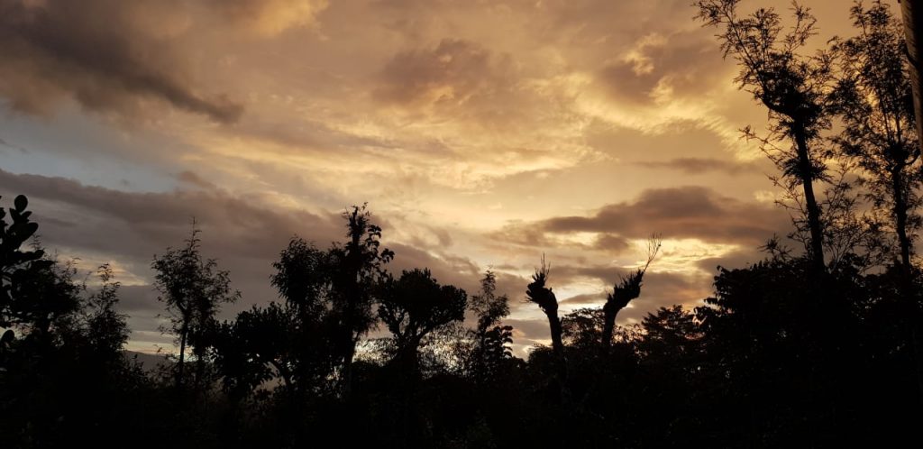 Sunset view in Kerala, Inde