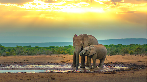 ational Park, South Africa