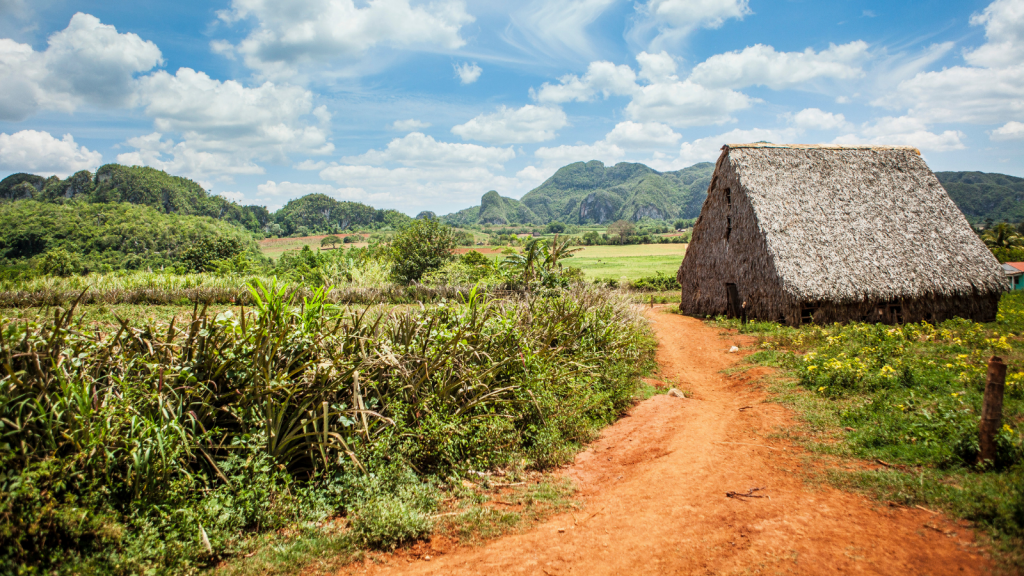 (Cuban landscape, Cuba, ©R-evolution)