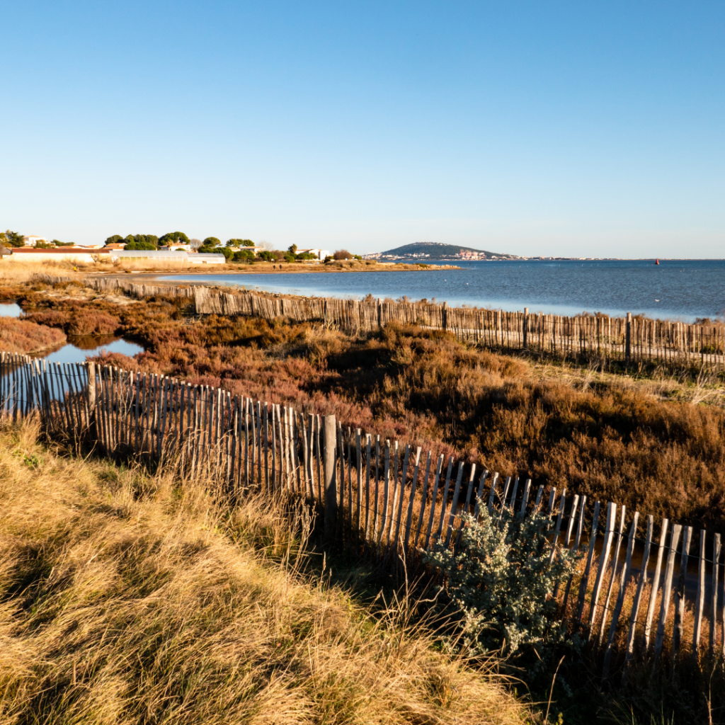 Le Lido de Thau 