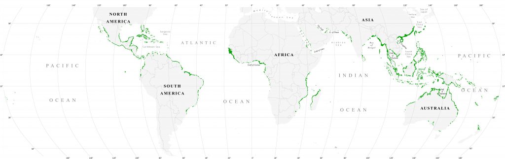 Mangroves dans le monde 